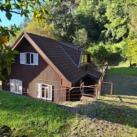 Ferreirinha Valley 비에이라도미노