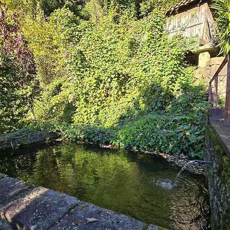 펜션 Ferreirinha Valley