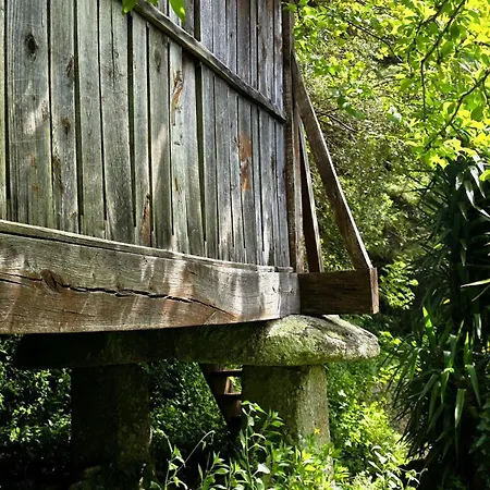 Ferreirinha Valley Holiday home *