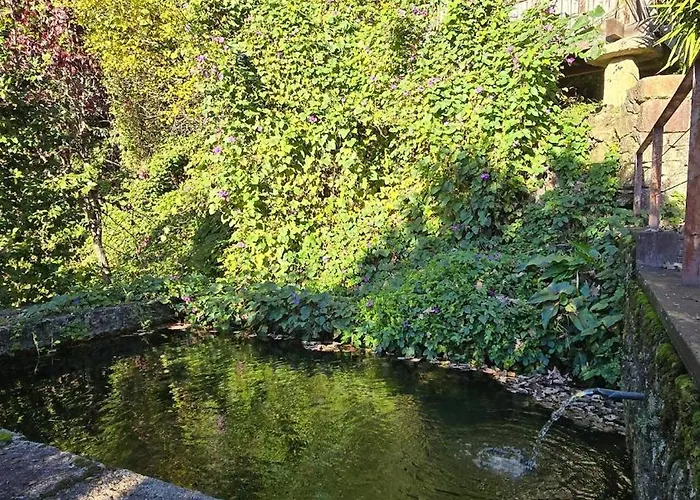 펜션 Ferreirinha Valley